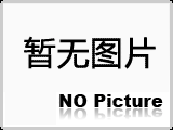 钢锭模
